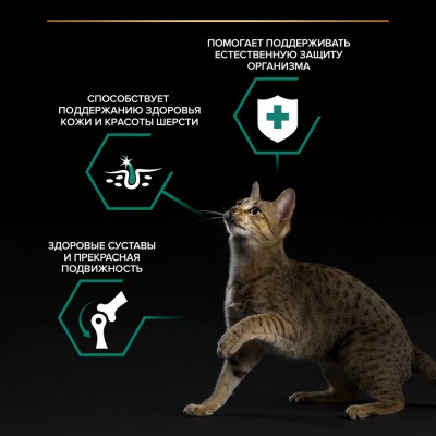 PRO PLAN® MAINTENANCE Влажный корм для взрослых кошек с говядиной в соусе 85 гр