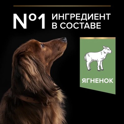PRO PLAN® SENSITIVE DIGESTION Сухой корм для взрослых собак мелких и карликовых пород с чувствительным пищеварением с высоким содержанием ягненка 3 кг