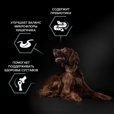 PRO PLAN® SENSITIVE DIGESTION Сухой корм для взрослых собак крупных пород с атлетическим телосложением с чувствительным пищеварением с высоким содержанием ягненка 14 кг