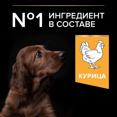 PRO PLAN® HEALTHY START Сухой корм для щенков крупных пород с атлетическим телосложением с высоким содержанием курицы 12 кг
