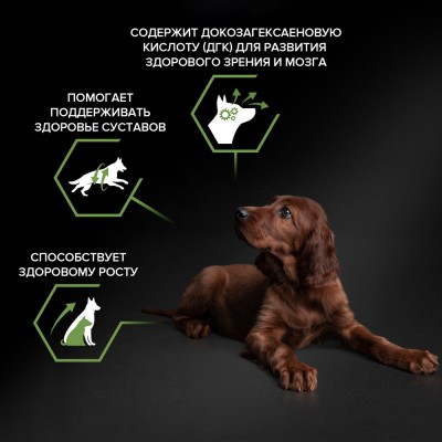 PRO PLAN® HEALTHY START Сухой корм для щенков крупных пород с атлетическим телосложением с высоким содержанием курицы 12 кг