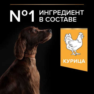 PRO PLAN® EVERYDAY NUTRITION Сухой корм для взрослых собак крупных пород с атлетическим телосложением с высоким содержанием курицы 14 кг