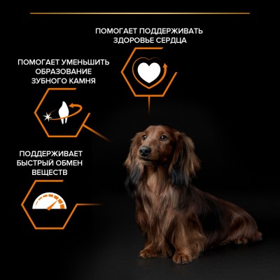 PRO PLAN® EVERYDAY NUTRITION Сухой корм для взрослых собак мелких и карликовых пород с высоким содержанием курицы 7 кг