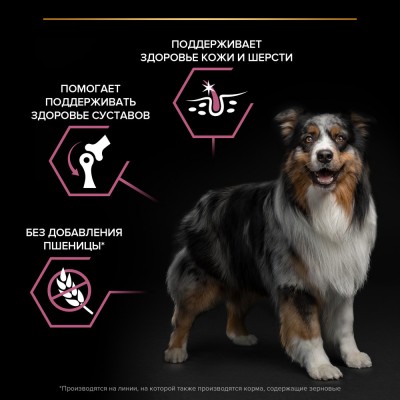 PRO PLAN® SENSITIVE SKIN Сухой корм для взрослых собак средних пород с чувствительной кожей с высоким содержанием лосося 14 кг