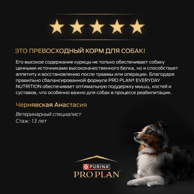 PRO PLAN® EVERYDAY NUTRITION Сухой корм для взрослых собак средних пород с высоким содержанием курицы 14 кг