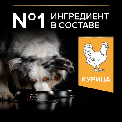 PRO PLAN® EVERYDAY NUTRITION Сухой корм для взрослых собак средних пород с высоким содержанием курицы 14 кг