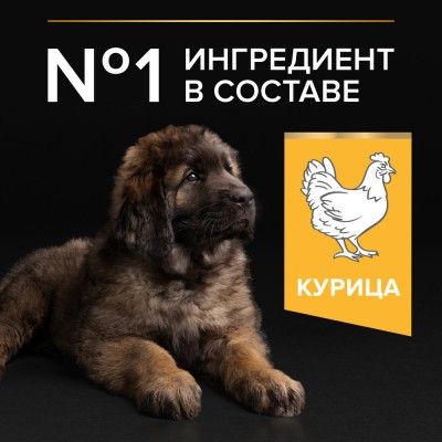 PRO PLAN® HEALTHY START Сухой корм для щенков крупных пород с мощным телосложением с высоким содержанием курицы 12 кг