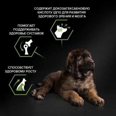 PRO PLAN® HEALTHY START Сухой корм для щенков крупных пород с мощным телосложением с высоким содержанием курицы 12 кг