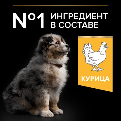 PRO PLAN® HEALTHY START Сухой корм для щенков средних пород с высоким содержанием курицы 12 кг