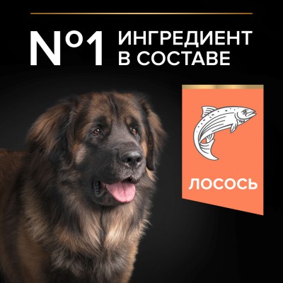PRO PLAN® SENSITIVE SKIN Сухой корм для взрослых собак крупных пород с мощным телосложением с чувствительной кожей с высоким содержанием лосося 14 кг