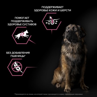 PRO PLAN® SENSITIVE SKIN Сухой корм для взрослых собак крупных пород с мощным телосложением с чувствительной кожей с высоким содержанием лосося 14 кг