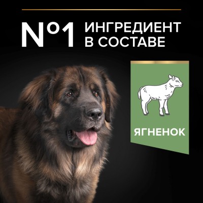 PRO PLAN® SENSITIVE DIGESTION Сухой корм для взрослых собак крупных пород с мощным телосложением с чувствительным пищеварением с высоким содержанием ягненка 14 кг