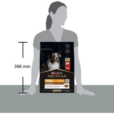 PRO PLAN® DUO DELICE Сухой корм для взрослых собак средних и крупных пород с двойной текстурой гранул с высоким содержанием говядины 2.5 кг