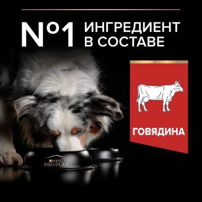 PRO PLAN® DUO DELICE Сухой корм для взрослых собак средних и крупных пород с двойной текстурой гранул с высоким содержанием говядины 2.5 кг
