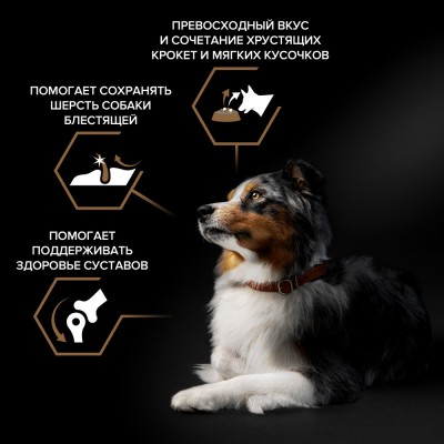 PRO PLAN® DUO DELICE Сухой корм для взрослых собак средних и крупных пород с двойной текстурой гранул с высоким содержанием говядины 2.5 кг