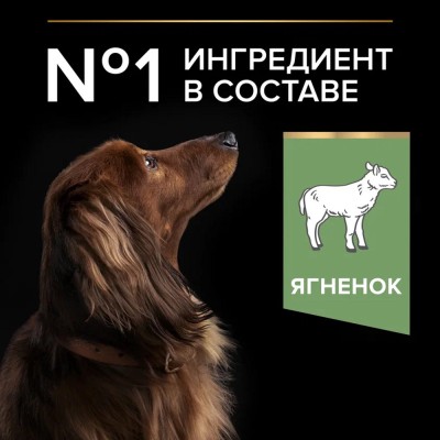 PRO PLAN® SENSITIVE DIGESTION Сухой корм для взрослых собак мелких и карликовых пород с чувствительным пищеварением с высоким содержанием ягненка 7 кг