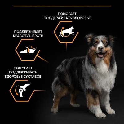 PRO PLAN® EVERYDAY NUTRITION Сухой корм для взрослых собак средних пород с высоким содержанием курицы 3 кг