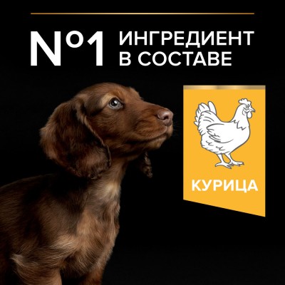 PRO PLAN® HEALTHY START Сухой корм для щенков мелких и карликовых пород с высоким содержанием курицы 700 гр