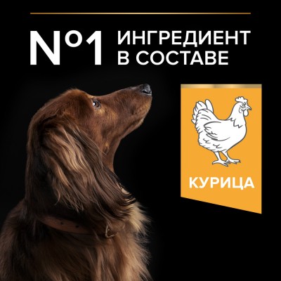 PRO PLAN® EVERYDAY NUTRITION Сухой корм для взрослых собак мелких и карликовых пород с высоким содержанием курицы 700 гр