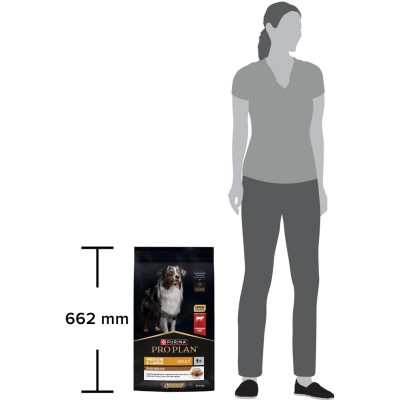 PRO PLAN® DUO DELICE Сухой корм для взрослых собак средних и крупных пород с высоким содержанием говядины 10 кг