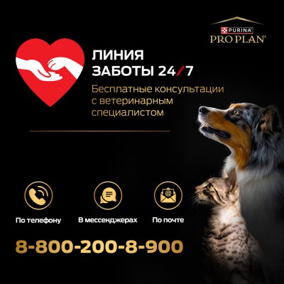 PRO PLAN® Влажный корм для взрослых собак мелких и карликовых пород с говядиной в соусе 85 гр