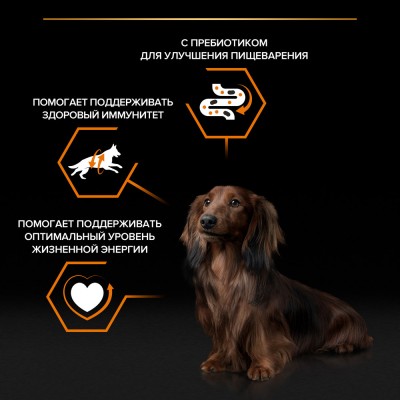 PRO PLAN® Влажный корм для взрослых собак мелких и карликовых пород с говядиной в соусе 85 гр