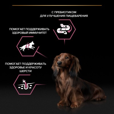 PRO PLAN® Влажный корм для взрослых собак мелких и карликовых пород с чувствительной кожей с лососем в соусе 85 гр