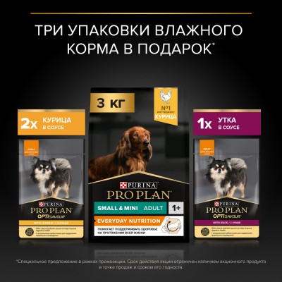 PRO PLAN® EVERYDAY NUTRITION Сухой корм для взрослых собак мелких и карликовых пород с курицей 3 кг + Влажный корм PRO PLAN для взрослых собак с уткой и курицей 85 г