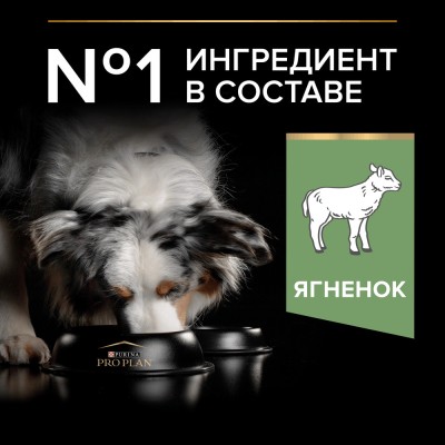 PRO PLAN® Сухой корм для взрослых собак средних пород с чувствительным пищеварением, с высоким содержанием ягненка, 2.5 кг + 500 г в подарок
