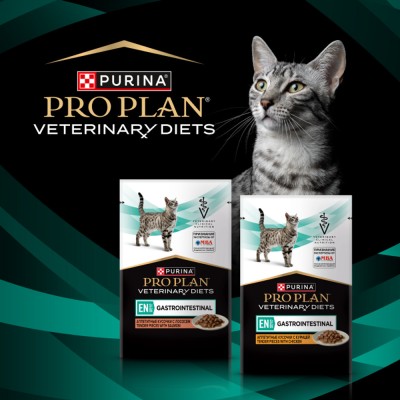 PRO PLAN® VETERINARY DIETS EN ST/OX Gastrointestinal Влажный корм для котят и взрослых кошек диетический при расстройствах пищеварения с курицей 85 гр
