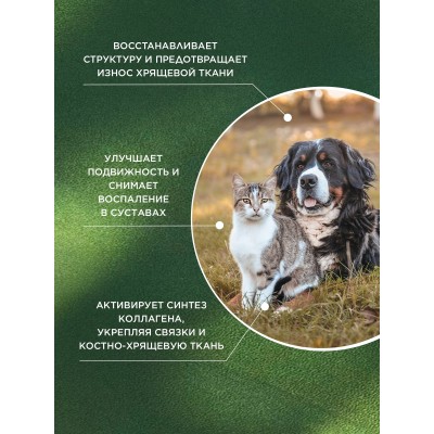 ProPhyto кормовая добавка артро защита 30 таблеток