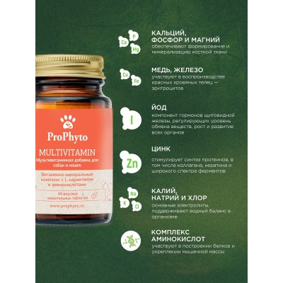 ProPhyto кормовая добавка мультивитамин 40 таблеток