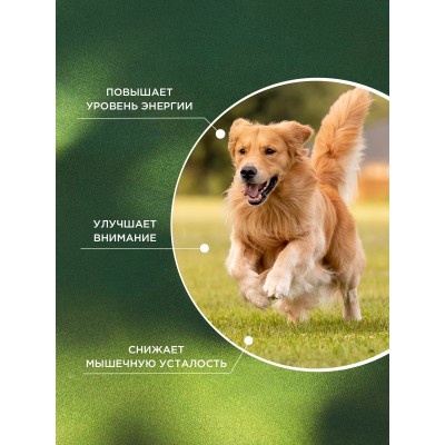 ProPhyto кормовая добавка Энерджи Буст 30 таблеток