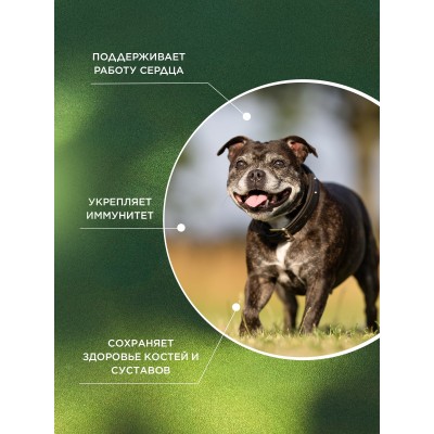 ProPhyto кормовая добавка Сеньор Саппорт 30 таблеток