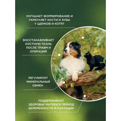 ProPhyto кормовая добавка Остеоплюс 40 таблеток