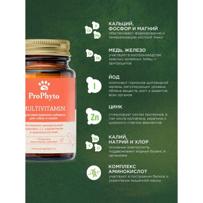 ProPhyto кормовая добавка мультивитамин 70 таблеток
