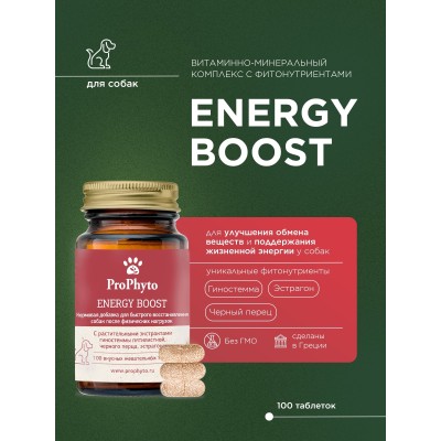 ProPhyto кормовая добавка Энерджи Буст 100 таблеток