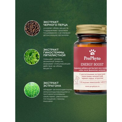 ProPhyto кормовая добавка Энерджи Буст 100 таблеток