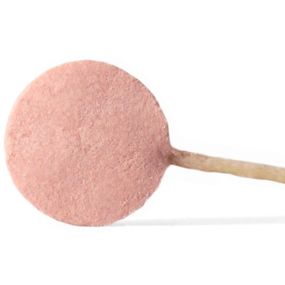 Ranova Лакомство для собак CN сублимированное на палочке с клюквой 8 гр х 6 шт