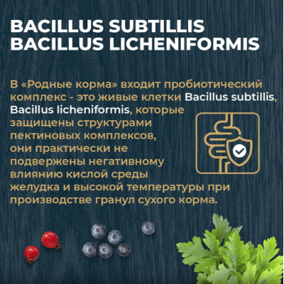 Родные корма сухой корм для взрослых кошек с курицей и ягодами 1,5 кг