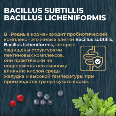 Родные корма сухой корм для взрослых кошек с курицей и ягодами 10 кг