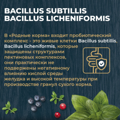Родные корма сухой корм для взрослых стерилизованных кошек с курицей и ягодами 400 гр.