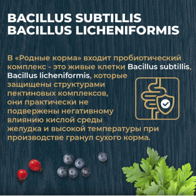 Родные корма сухой корм для взрослых стерилизованных кошек с курицей и ягодами 10 кг