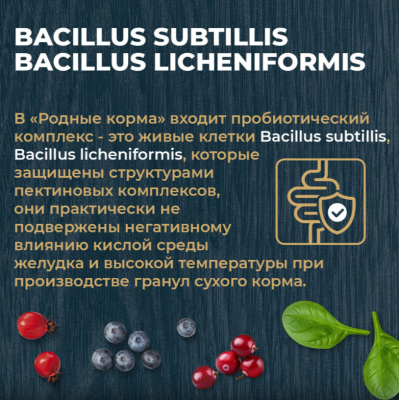 Родные корма сухой корм для взрослых кошек с чувствительным пищеварением с индейкой и ягодами 400 гр.