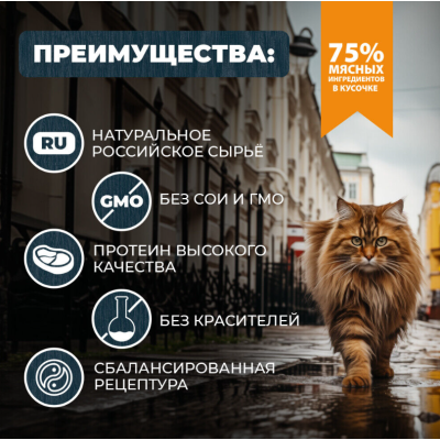 Родные корма пауч для кошек говядина с морковью кусочки в соусе по-ленинградски профилактика МКБ 85 гр.