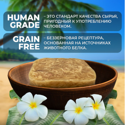 Родные корма Морская серия ламистер для кошек филе курицы с лососем в желе по-азиатски 100 гр.