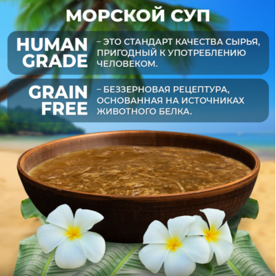 Родные корма Морская серия пауч СУП для кошек филе курицы с лососем в соусе по-азиатски 85 гр.