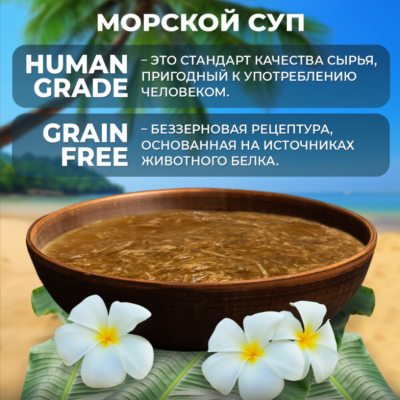 Родные корма Морская серия пауч СУП для кошек филе курицы с кальмаром в соусе по-азиатски 85 гр.