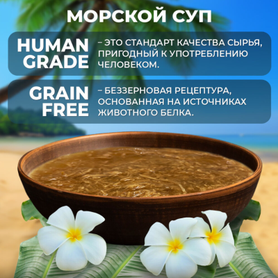 Родные корма Морская серия пауч СУП для кошек филе курицы с креветками в соусе по-азиатски 85 гр.