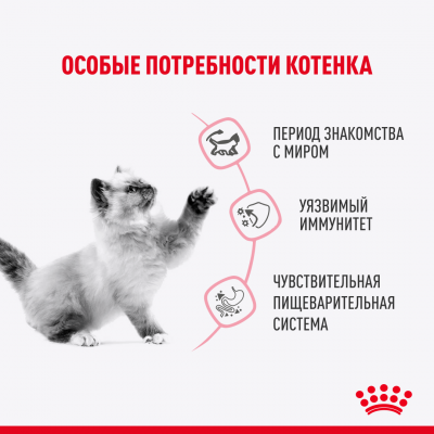 Royal Canin Kitten Sterilised Влажный корм сбалансированный для стерилизованных котят в возрасте от 6 до 12 мес. мелкие кусочки в желе, пауч 85 гр.